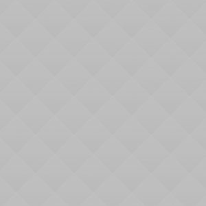 Fresh  French Bakery Products